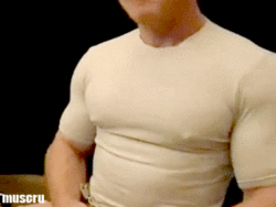 muscletits:  musclpkg:  Step 1: extra-tight teeStep 2: cut holes for nipplesStep 3: slow exquisite torture  I like how you think, bro!