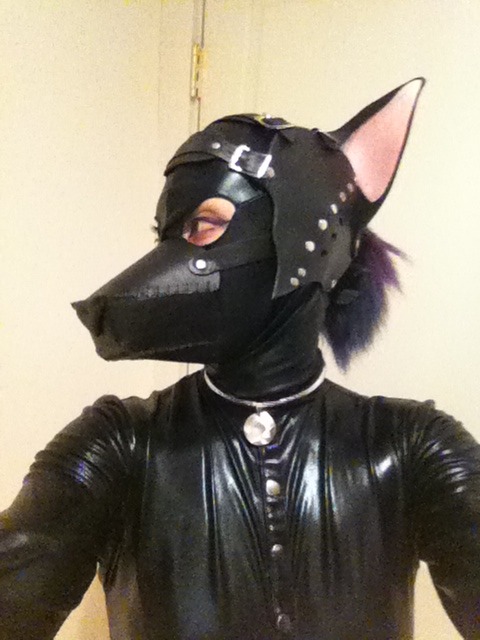 ekhofox:  Leather fox pup is happy in her body suit!  