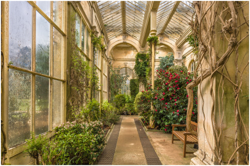 Castle Ashby Orangery, Northamptonshire, England by Steve JamesVia Flickr