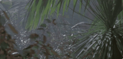 bolt-carrier-mod:  Jurassic ParkDat SPAS 