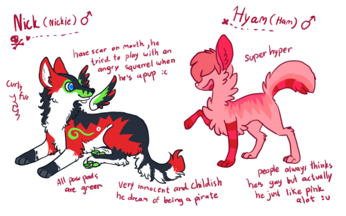 All my canine OCs PART (1)  (2)  (3)  (4) this is a preety long project of mine :OI didn&rsquo;t dat