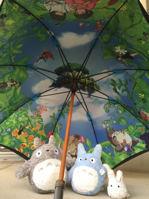 beedoan:  Studio ghibli umbrella 😊