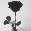 readhappilyeverafter