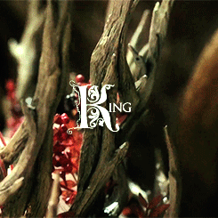 gryffindorsqueen:“Say what you like about our ill-tempered king, he has excellent taste in win