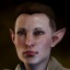 a-regular-dragonage-wynne