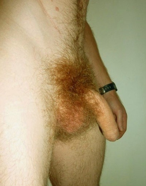 Just another Porn blog ;)