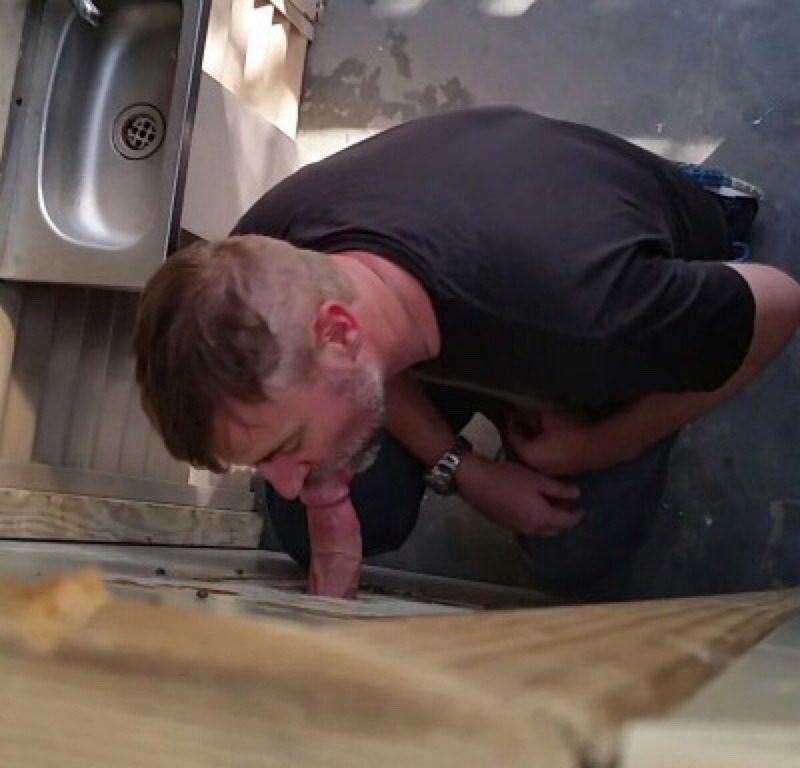fhabhotdamncobs:  domnator2:  Buck answering the call of the wild.     W♂♂F  