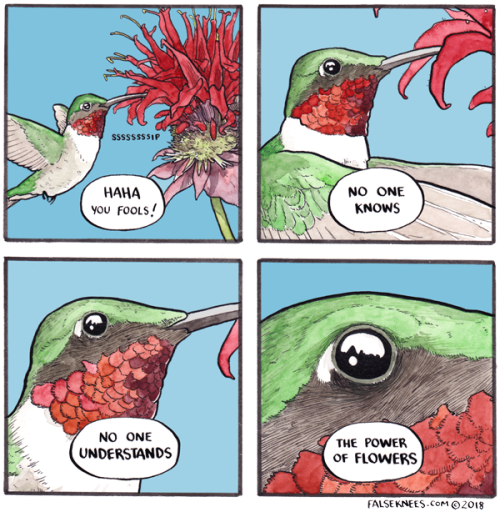 falseknees:Power flowerYOU FOOLS