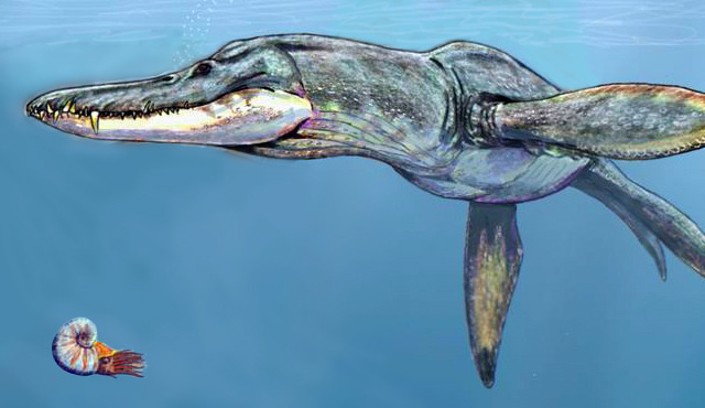 rhamphotheca:  Jurassic Predators Had Surprisingly Sensitive Snouts by Jeff Hecht