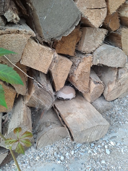 Playing Some Hide And Seek