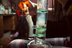 Bongs & Accessories.