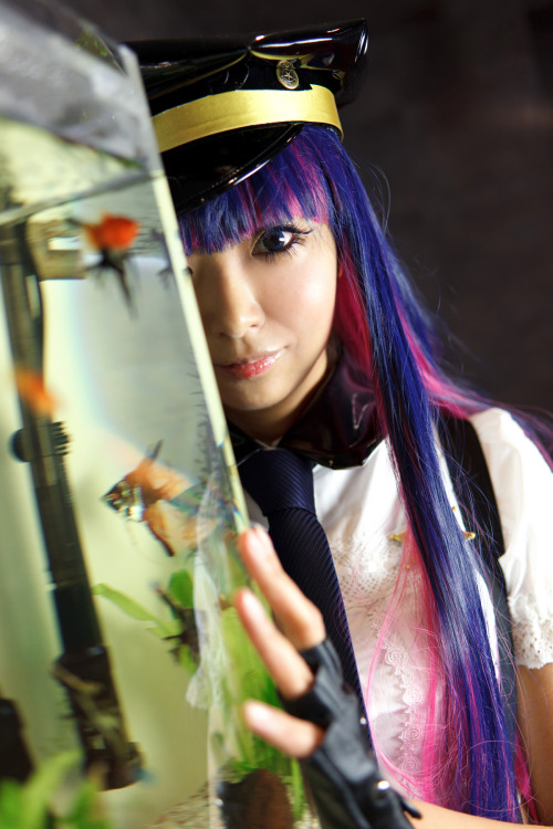 Panty and Stocking with Garterbelt - Stocking Anarchy (Necoco) 21HELP US GROW Like,Comment & Share.CosplayJapaneseGirls1.5 - www.facebook.com/CosplayJapaneseGirls1.5CosplayJapaneseGirls2 - www.facebook.com/CosplayJapaneseGirl2tumblr - http://cosplayja