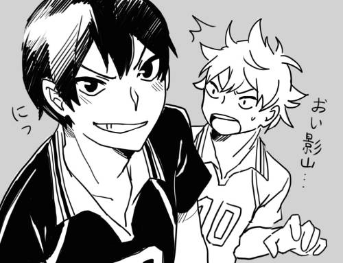 aokamei:  Can you tell how much I love kagehina..? /////