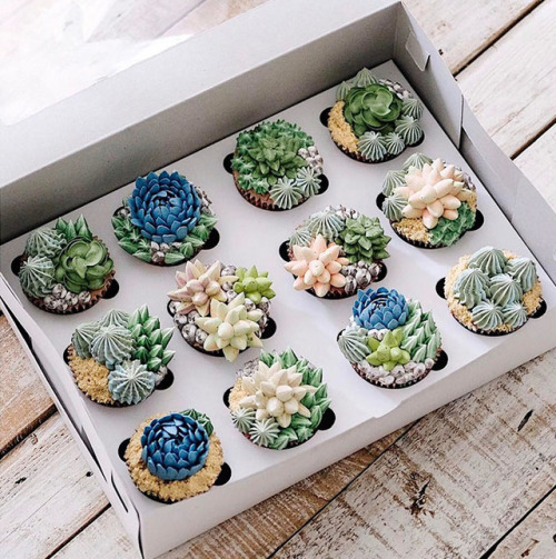 taigas-den: carrioncoyote: bibidebabideboo: (Succulent Cakes By Ivenoven Will Make Every Succulent L