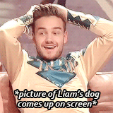 bitchlibra:  Real_Liam_Payne: pick ur balls up off the floor and get on with it 