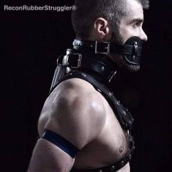 bootbrushpup:  Bearded, muscular, harnessed,