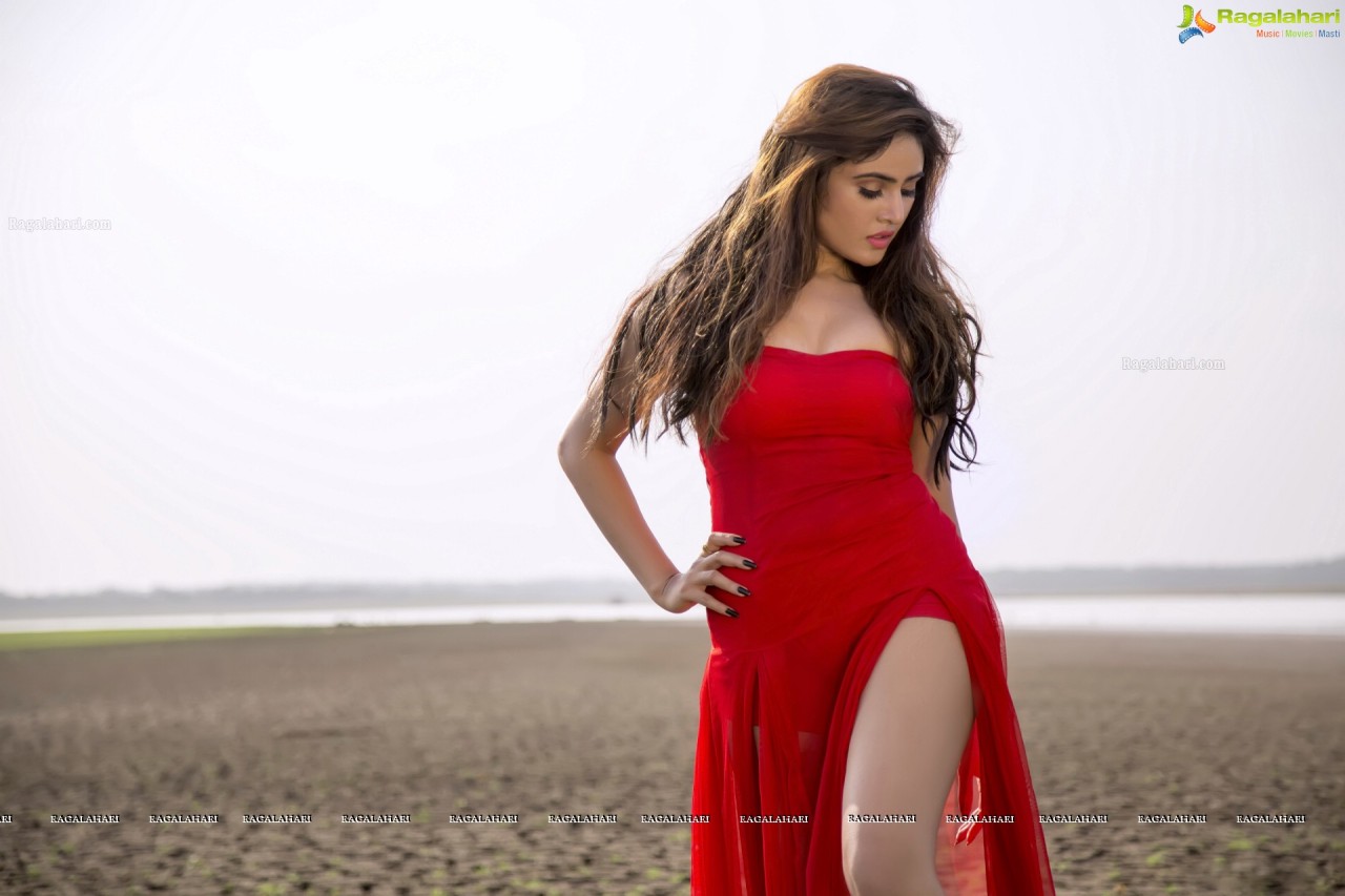 sexy-indian-actress:  Sony Charishta    Love this dress