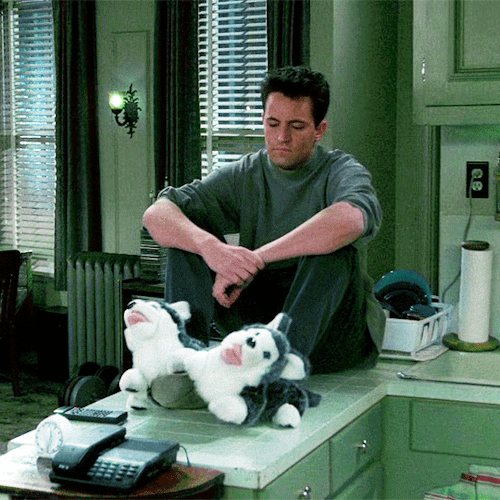 CHANDLER BING2.17 The One Where Eddie Moves In