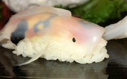sixpenceee:  JunsKitchen teaches us how to make sushi that looks like real-life swimming koi fish in their short video. The results are delicious! (Source)  Foodporn!