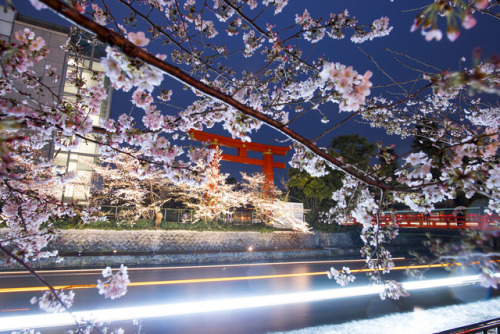Heian-jingu Evening 平安神宮の夕方 by Patrick Vierthaler http://flic.kr/p/U8cXdR