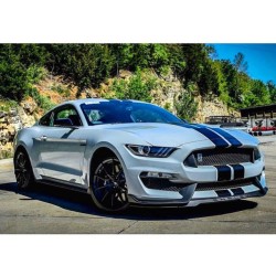 musclefords:  @igfords #ford#Mustang#SVT