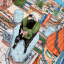 narutodisp0se