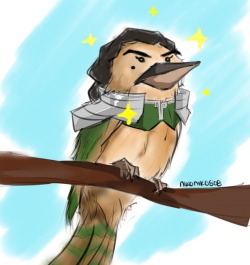 nikoniko808:  all hail the Great Uniter, the most important birb…. Kookuvira  