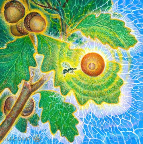 Alex Grey (b. 1953)Gall Wasp ,2010oil on wood