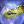 atherishispida:atherishispida:atherishispida:i think one of the funniest things ever