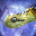 atherishispida:atherishispida:atherishispida:i think one of the funniest things ever