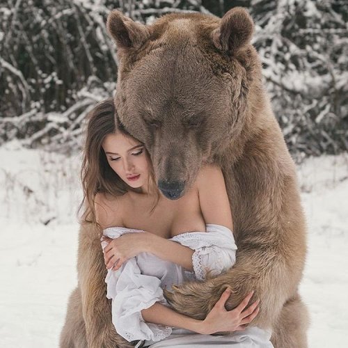 gservator:sighinastorm:lechelady:donzo1234:sleepnoi7es:sixpenceeeblog:Stephan the bear hugging Svetl