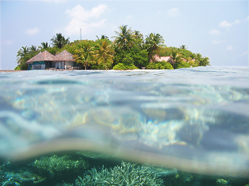 ACAI LAGOON