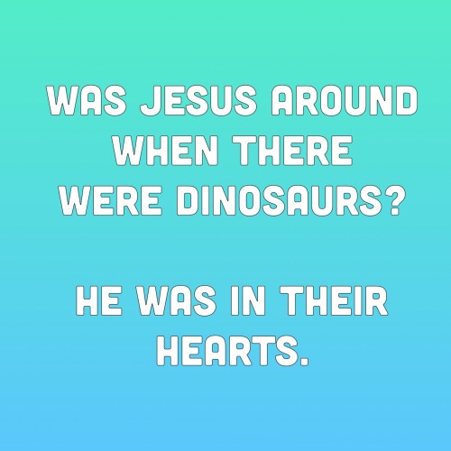 likesgirlsandunicorns:  BEST of AmandasChronicles (didn’t make these, credit to whoever did)