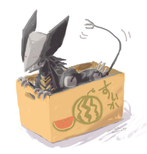 fuju-f:  &ldquo;I thought about how to use box.&rdquo; 