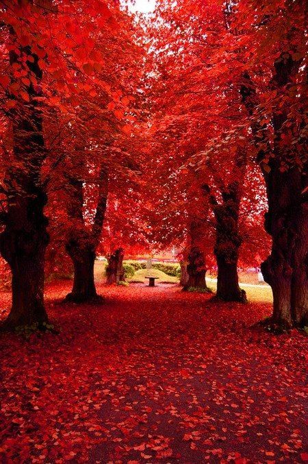 Red also was used to mother nature moments