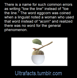 ultrafacts: Source: [x] Follow Ultrafacts for more facts! 