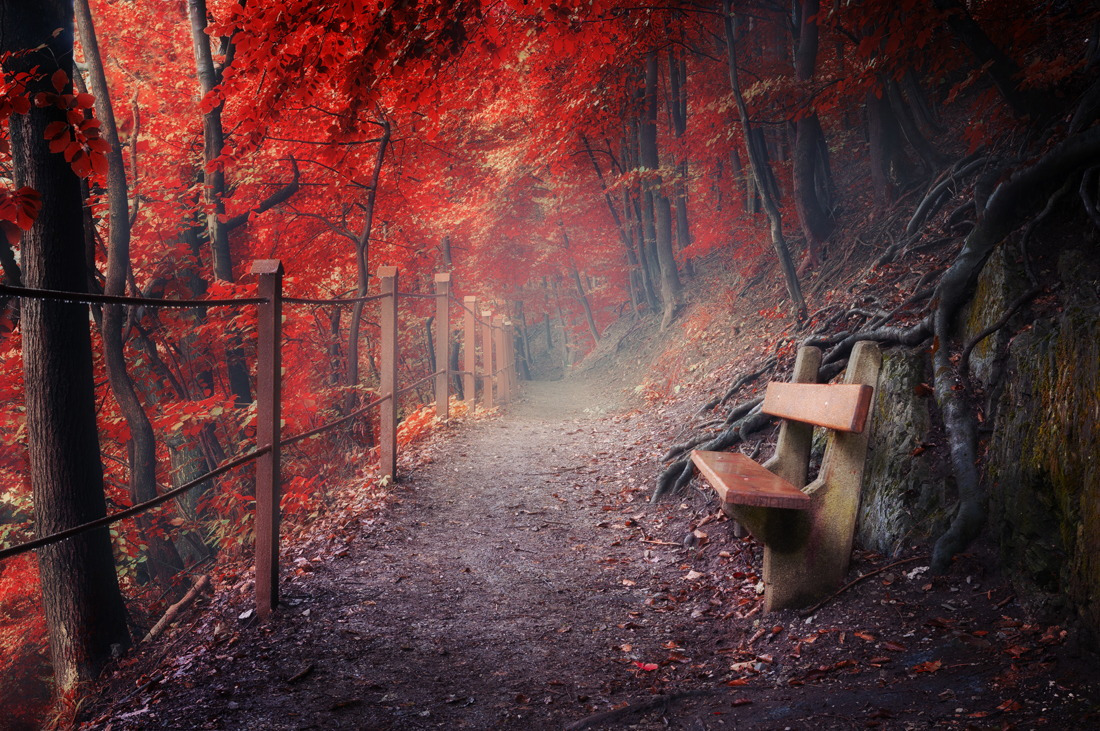 mrcloudphotography:  source | 1 | 2 | 3 | 4 | 5 | 6  | MY TUMBLR BLOG |  Let’s