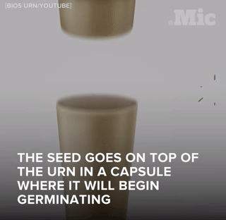 the-future-now:  The BIOS urn isn’t the only green death option. Follow @the-future-now 