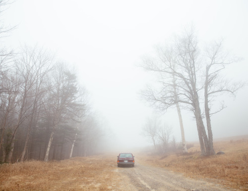 White Mountain National Forest.New Hampshire. November 2015