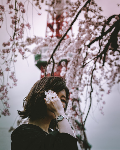Ticking the sakura time ⌚️ with Tokyotower 
