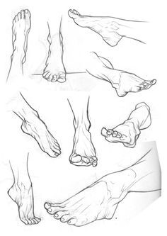 fucktonofanatomyreferences:  fucktonofanatomyreferences:  An orgasmic fuck-ton of