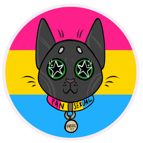 LGBT PRIDE CAT STICKERS -GAY, LESBIAN, BISEXUAL, PANSEXUAL, TRANSGENDER, NONBINARY + ASEXUAL DESIGNS