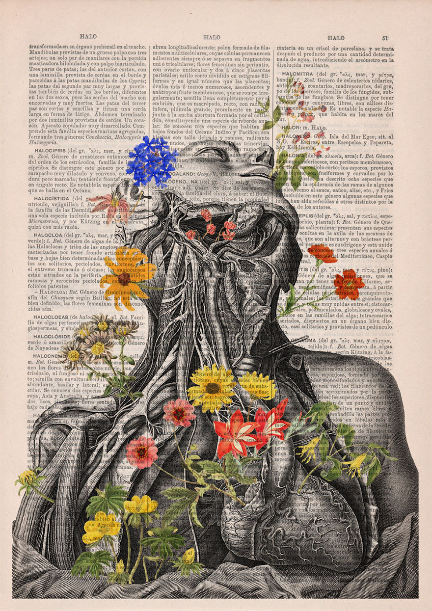 boredpanda:    Floral Anatomical Illustrations Breathe New Life Into Old Discarded