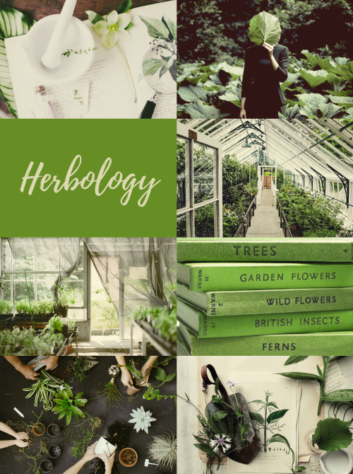 hp-moods:
“ Herbology
(requested by @bombardamaximarp)
”