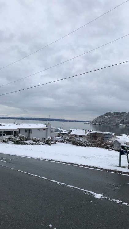 Whidbey on Christmas
