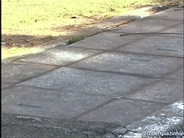 sizvideos:  Watch the video of this prank 