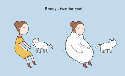 boredpanda:    10 Benefits Of Having A Cat  