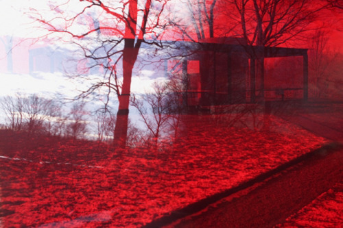 likeafieldmouse:  James Welling - Glass House (2006-9) Artist’s statement:  “When Frank Lloyd Wright visited the Glass House, as Philip Johnson tells it, he was unsure whether he was inside or outside. He said that he didn’t know whether or