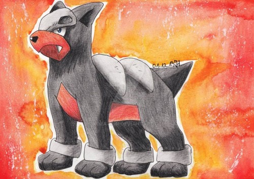 Houndour &lt;3