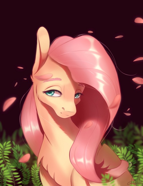 mlp fan